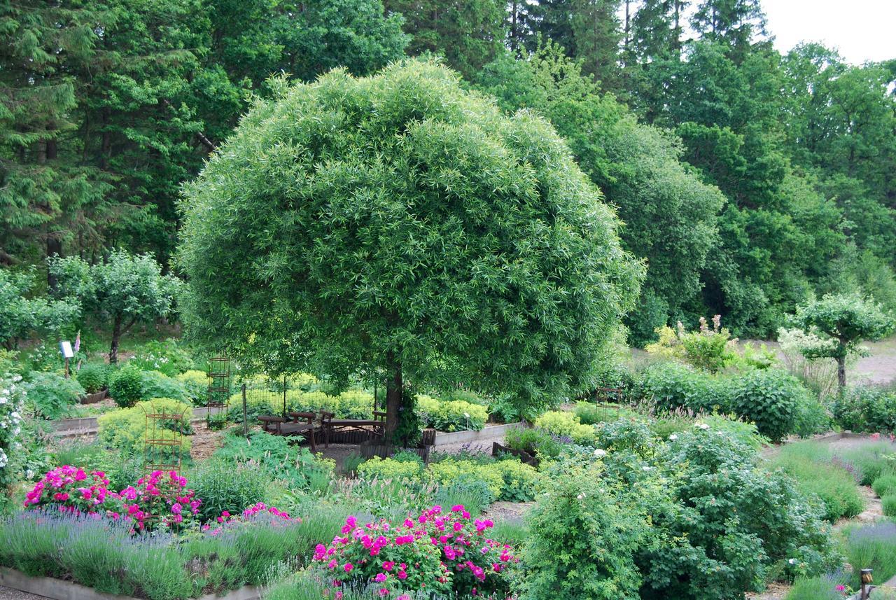 Hillesgarden